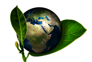 Nachhaltigkeit und Umweltschutz an unserer Schule